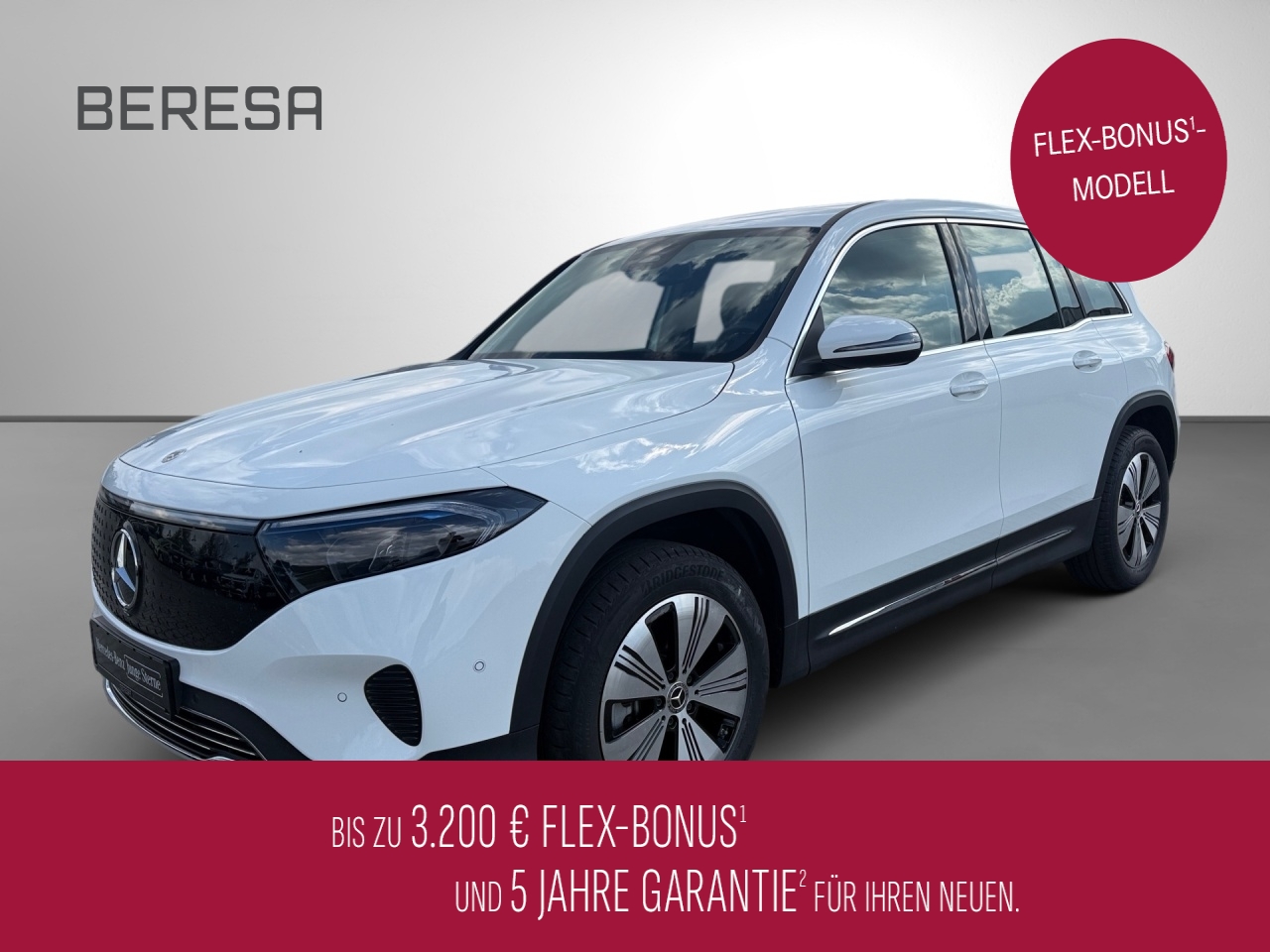 EQB 250+ Progressive AHK Distronic Memory Winter