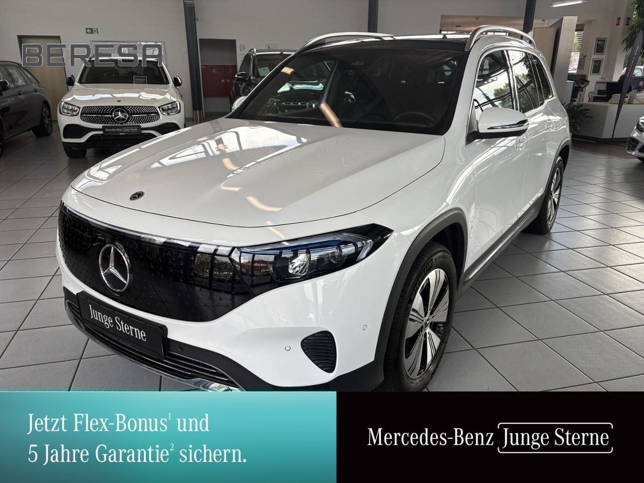 EQB 300 4M Progressive Pano AHK getöntes Glas