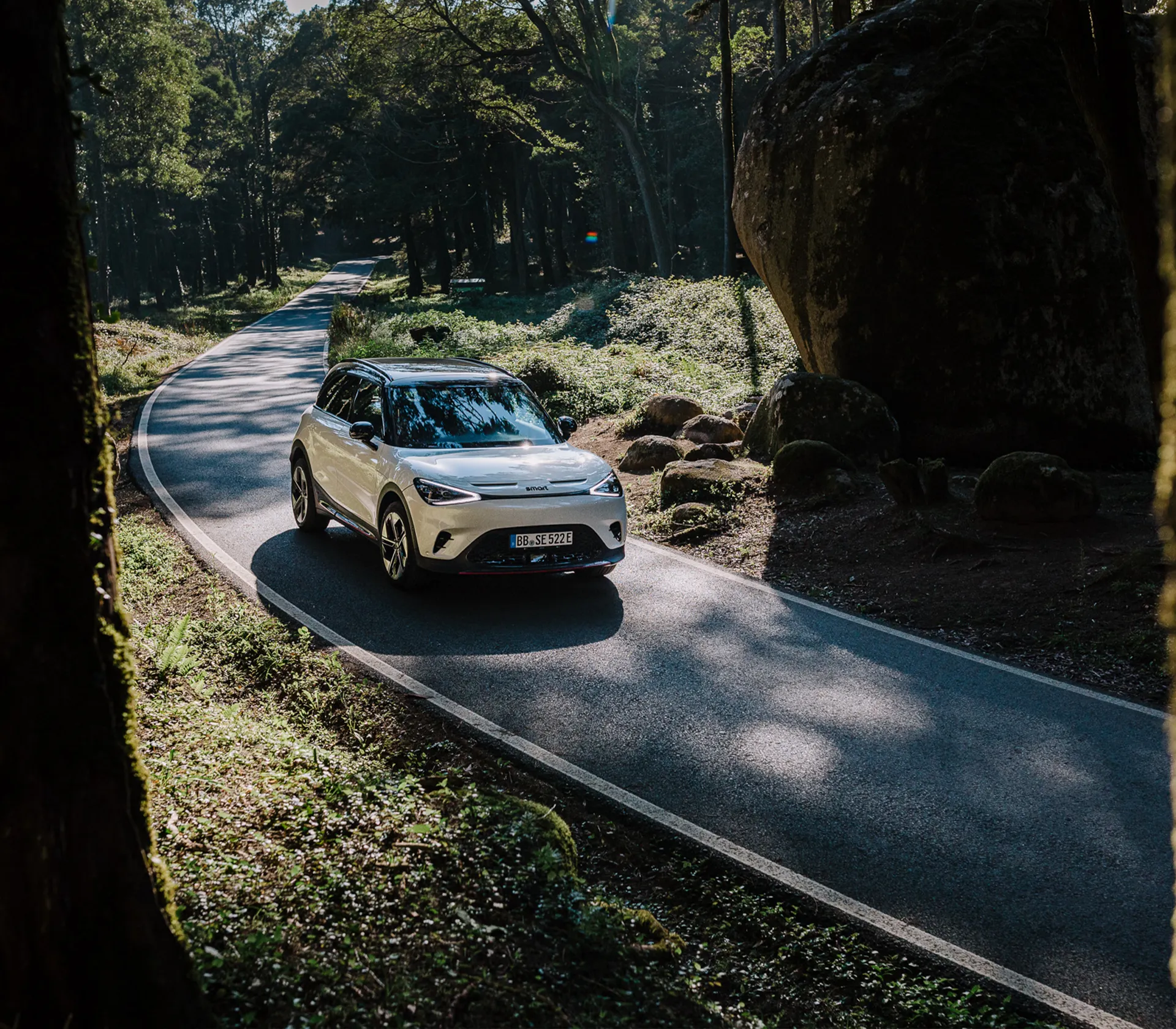 smart Road Assistance